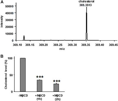 Alteration of Membrane Cholesterol Content Plays a Key Role in Regulation of Cystic Fibrosis Transmembrane Conductance Regulator Channel Activity